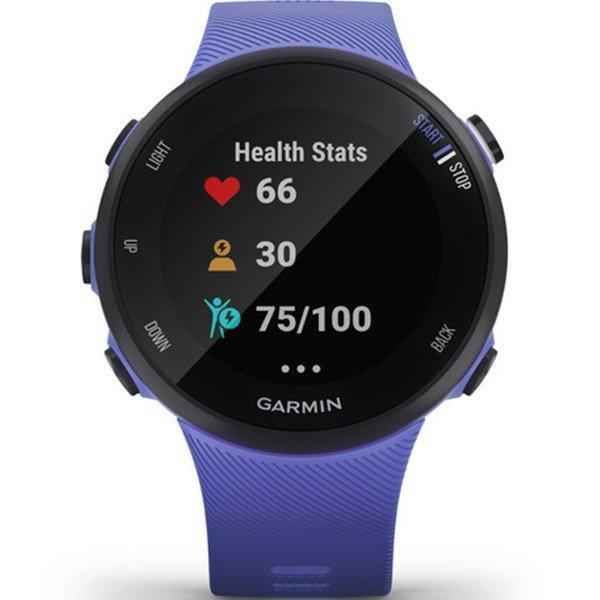 Часы Garmin Forerunner 45 Small Iris 010-02156-11