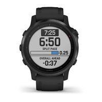 Спортивные часы Garmin Fenix 6S Pro Black with Black Band 010-02159-14