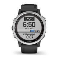 Спортивные часы Garmin Fenix 6S Solar Silver Black Band 010-02409-00