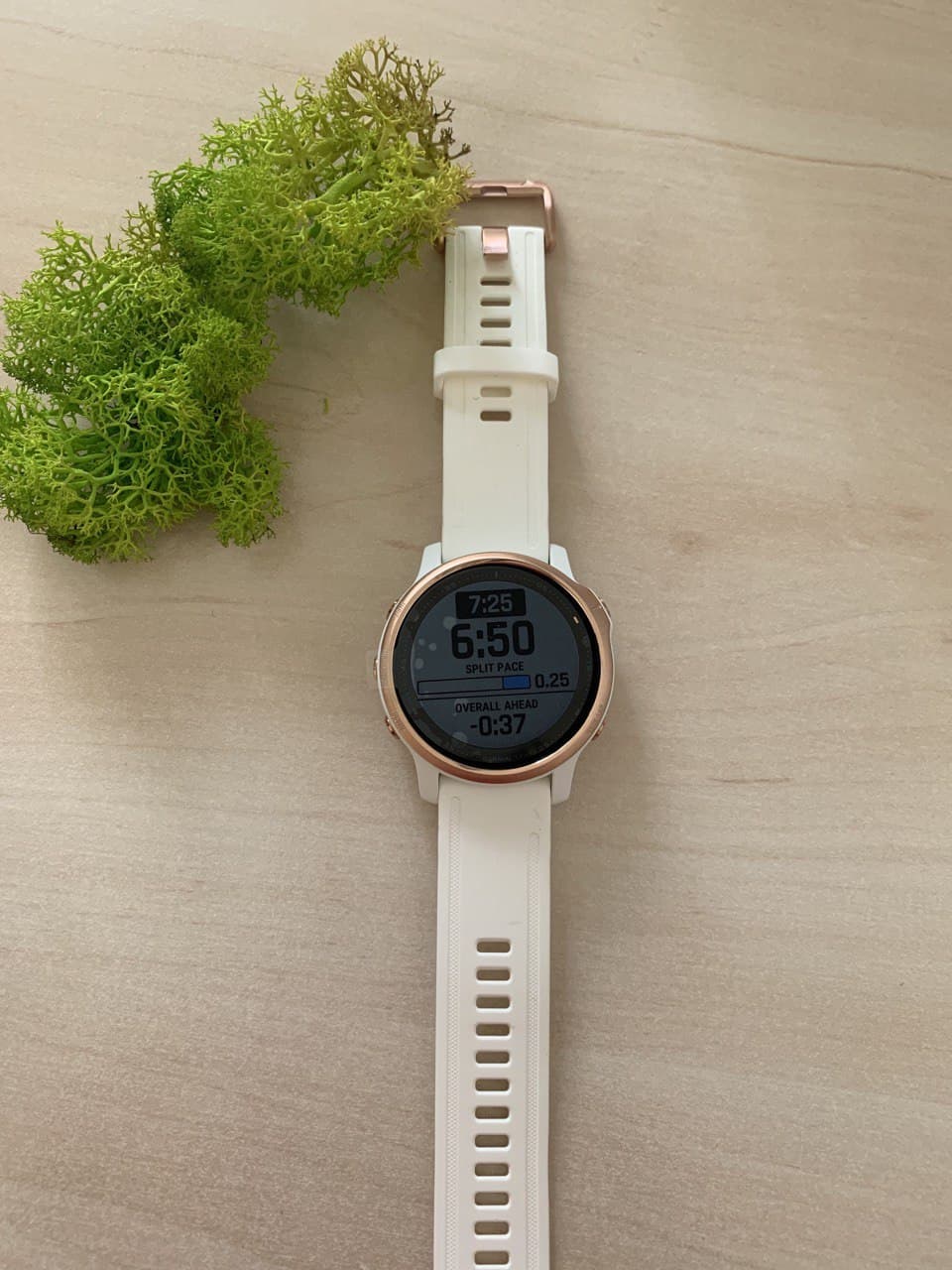 Garmin Fēnix 6S 42 mm Smartwatch in Rose Gold store with White Band