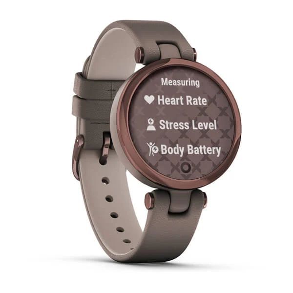 Фитнес часы Garmin Lily Classic Dark Bronze Paloma 010-02384-B0