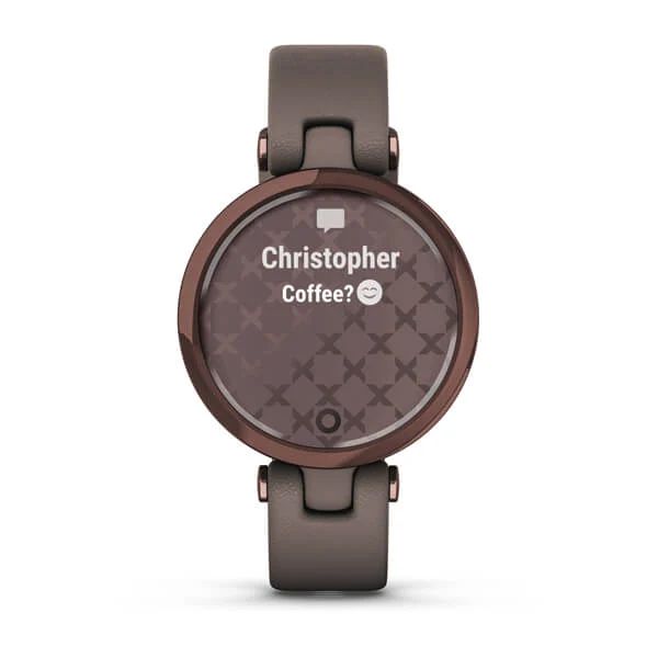 Фитнес часы Garmin Lily Classic Dark Bronze Paloma 010-02384-B0