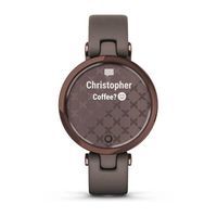 Фитнес часы Garmin Lily Classic Dark Bronze Paloma 010-02384-B0
