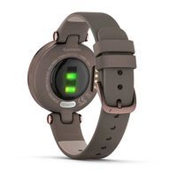 Фитнес часы Garmin Lily Classic Dark Bronze Paloma 010-02384-B0