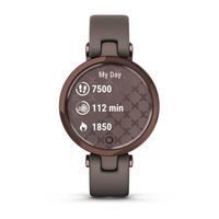 Фитнес часы Garmin Lily Classic Dark Bronze Paloma 010-02384-B0