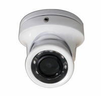 Видеокамера внешнего наблюдения Lowrance Mini Camera, Fixed Color W/ Ir 000-10930-001