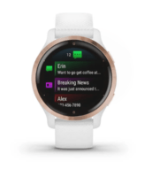 Спортивные часы Garmin Venu 2S Rose Gold Bezel with White Case and Silicone Band 010-02429-13