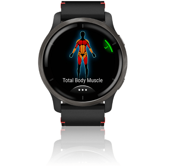 Спортивные часы Garmin Venu 2 Slate with Black Leather Band 010-02430-21