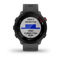 Часы беговые Garmin Forerunner 55 Monterra Grey 010-02562-13 