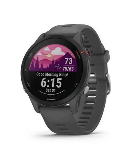 Часы Garmin Forerunner 255 Basic Slate Gray 010-02641-10