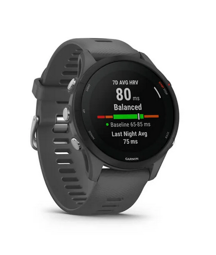 Часы Garmin Forerunner 255 Basic Slate Gray 010-02641-10