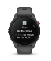 Часы Garmin Forerunner 255 Basic Slate Gray 010-02641-10
