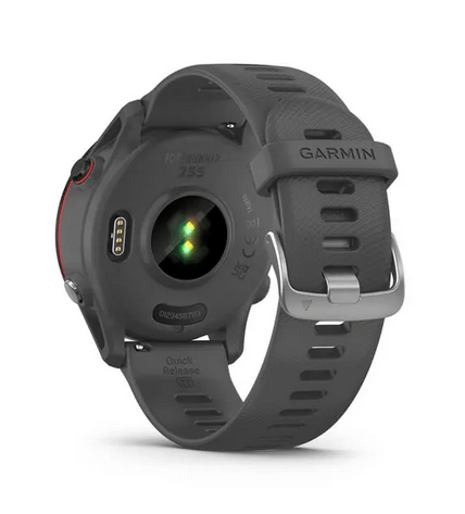 Часы Garmin Forerunner 255 Basic Slate Gray 010-02641-10