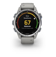 Спортивные часы Garmin Descent Mk3 (43мм) Stainless Steel with Fog Gray с силиконовым ремешком 010-02753-04