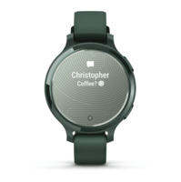 Фитнес часы Garmin Lily 2 Active Jasper Green силиконовый ремешок 010-02891-02