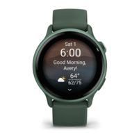 Фитнес часы Garmin Vivoactive 6 Metallic Jasper Green c силиконовым ремешком 010-02985-02