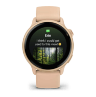Фитнес часы Garmin Vivoactive 6 Metallic Pink Dawn c силиконовым ремешком 010-02985-03