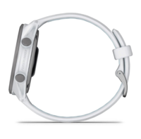 Беговые часы Garmin Forerunner 170 Whitestone белый с Whitestone/Cloud силиконовым ремешком 010-03920-01