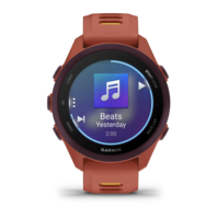 Беговые часы Garmin Forerunner 170 Music Red Pink красный с Red Pink/Mango силиконовым ремешком 010-03920-13