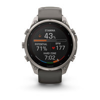 Спортивные часы Garmin Fenix 9 Pro Solar 47 мм Titanium с силиконовым серо-серебристым ремешком 010-04338-01