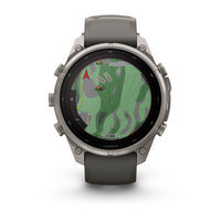 Спортивные часы Garmin Fenix 9 Pro Solar 47 мм Titanium с силиконовым серо-серебристым ремешком 010-04338-01